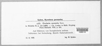 Ramularia carneola image